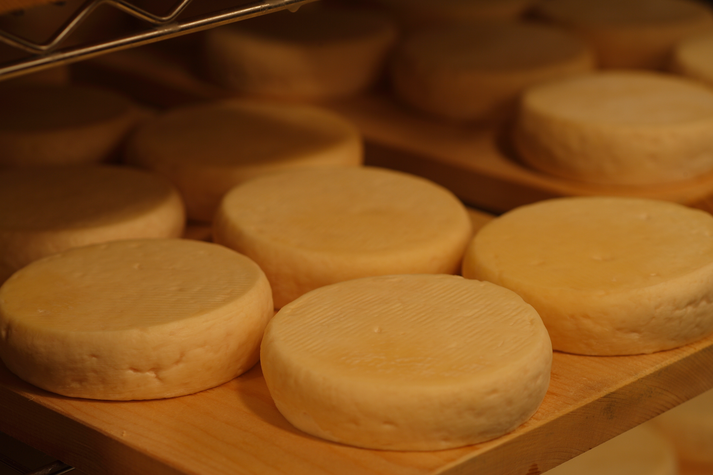 チーズ工房NEEDS – ミルク＆ナチュラルチーズフェア2022